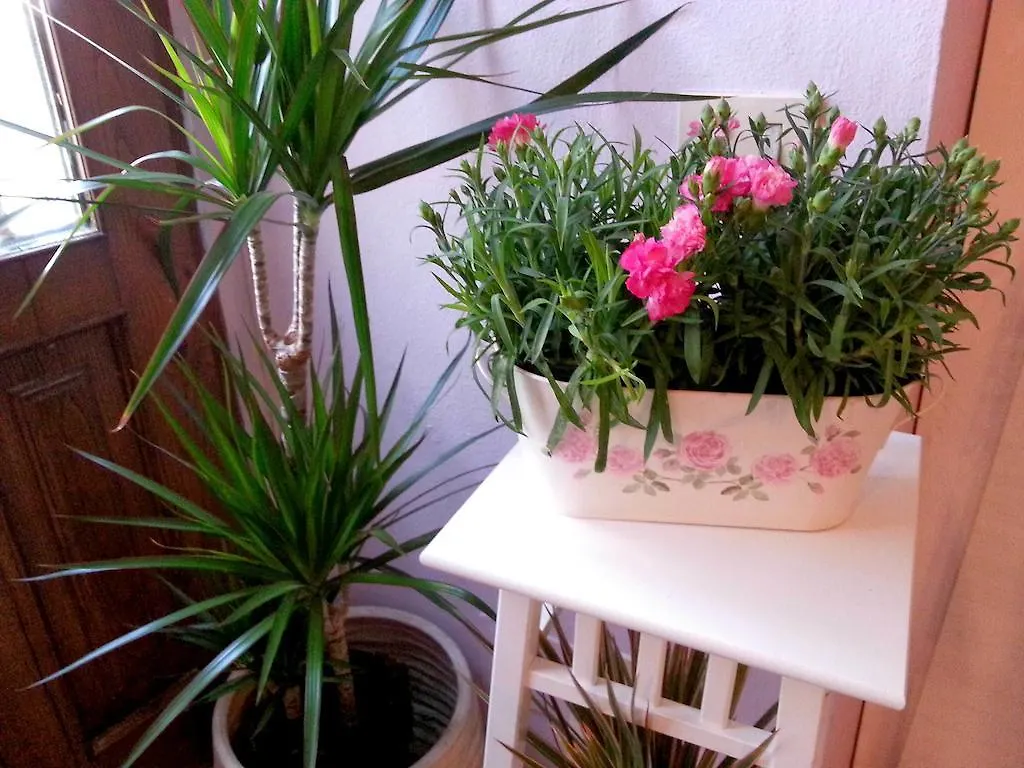Appartamento Casa Del Colle Colle Val D'Elsa Holiday home